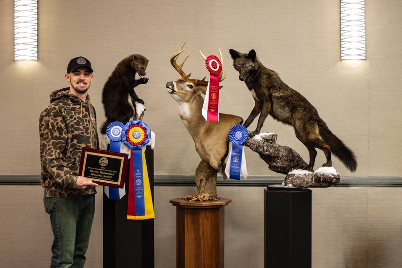 Taxidermist with award-winning fisher, whitetail deer and wolf mounts
