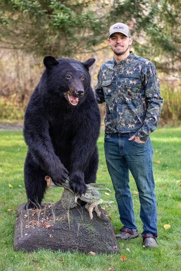 Taxidermist standing beside a life-size black bear mount