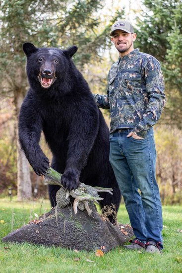 Taxidermist beside an upright life-size black bear mount