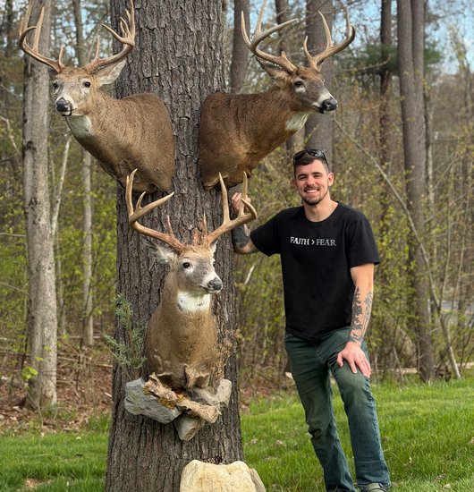 Taxidermist beside three whitetail buck mounts displayed on a tree